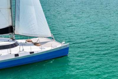 แล่นเรือใบ "SY Shindig"