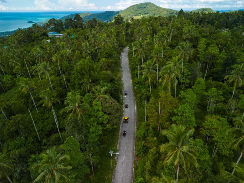 Jungle Road Ride & Mysterious Temple