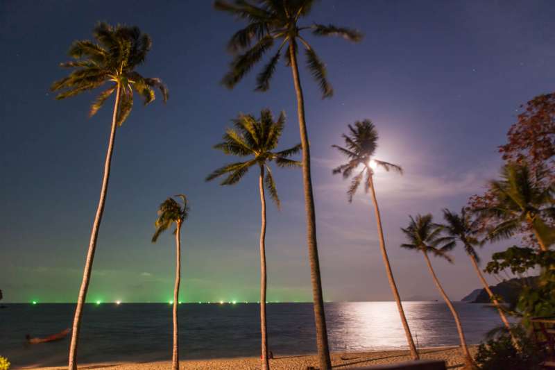 ";
Observation des étoiles sur la plage