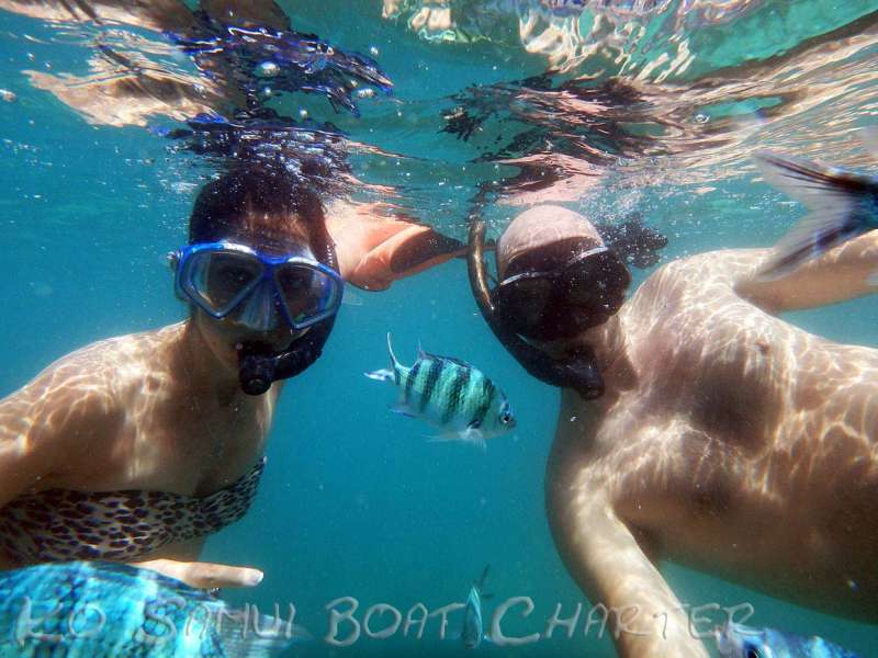 Snorkeling at Koh Tan