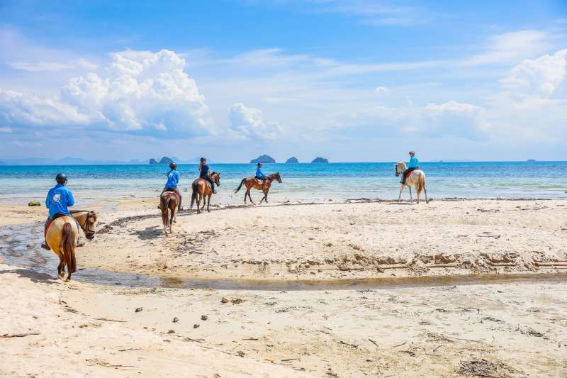 Guided Beach Trail Ride