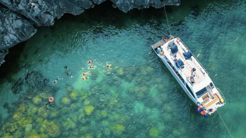 Snorkeling at Koh Wao