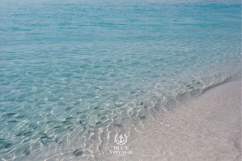 Temps de plage sur l'île de Khai Nok