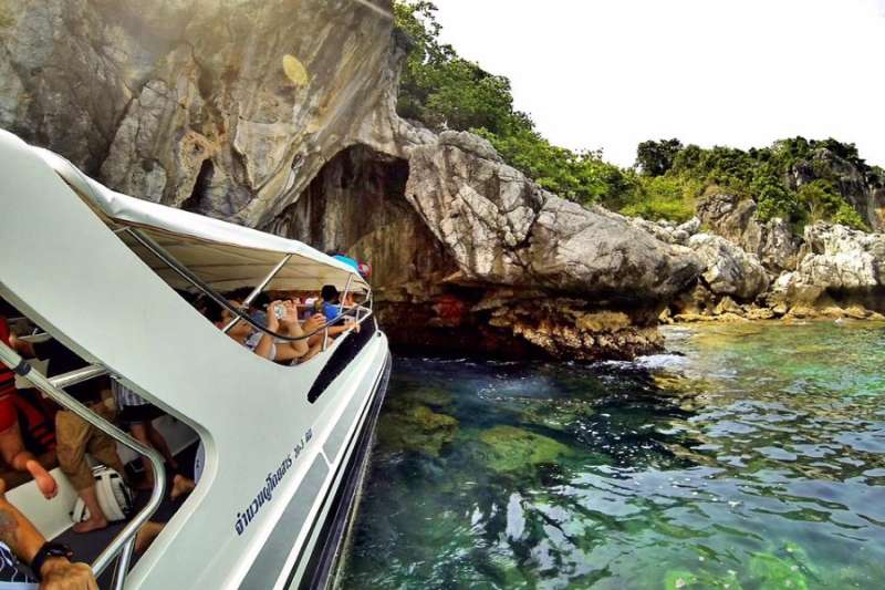 Cinq îles aux nids d'oiseaux
