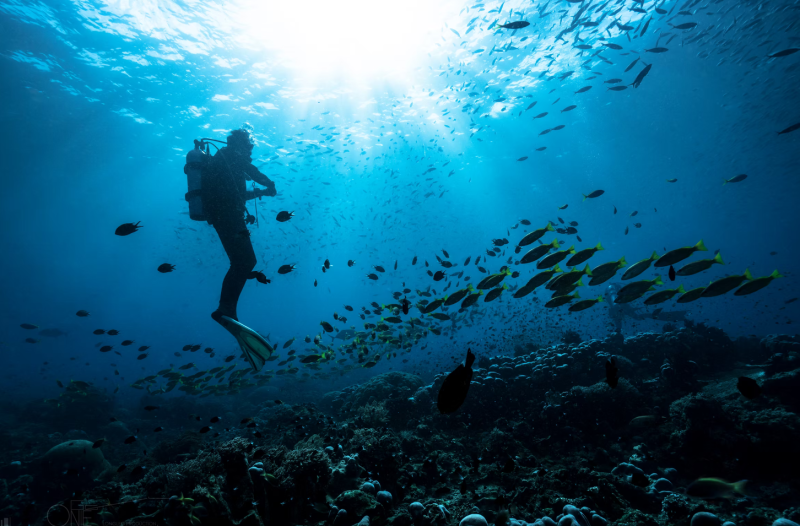 First dive / snorkeling session
