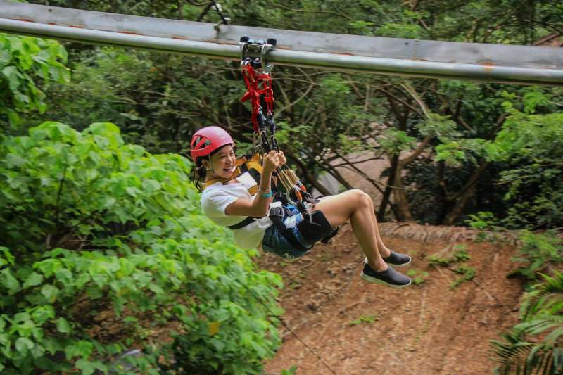 Roller Zipline & Skywalk