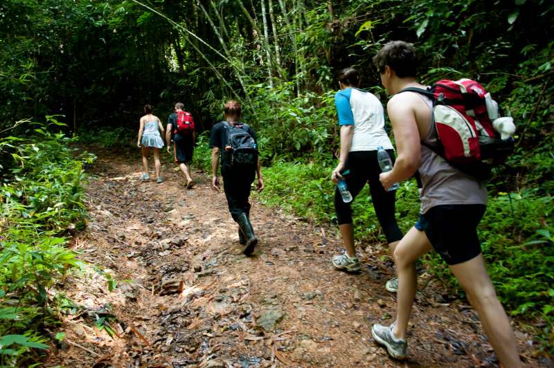 Si vous avez envie d'explorer, suivez votre guide pour une courte randonnée à travers la forêt tropicale où vous pourrez apercevoir des singes, des calaos et d'autres animaux sauvages dans leur habitat naturel et visiter des grottes.