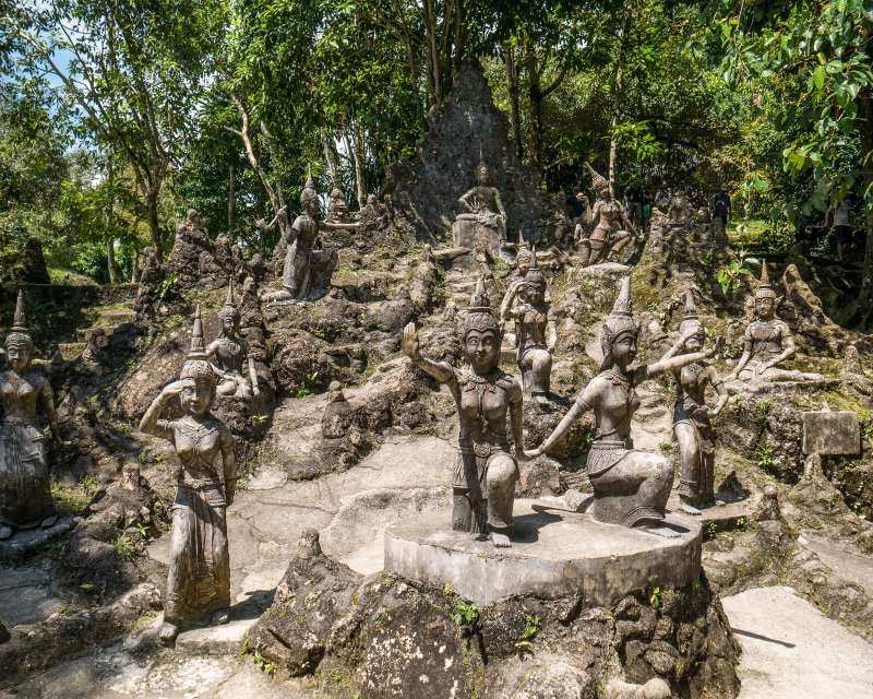 The Magic Garden