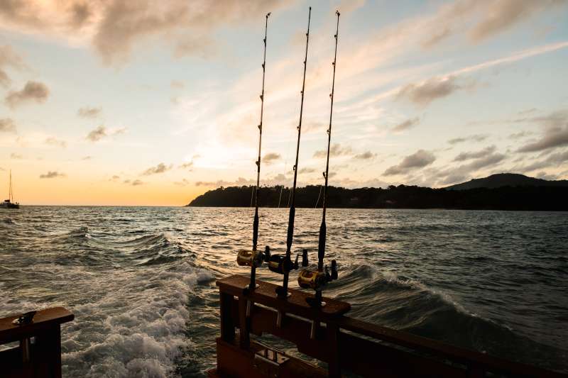 Pêche et croisière