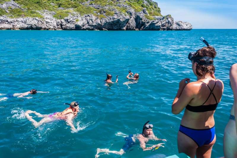 Snorkeling et rencontre de la vie marine à Koh Wao