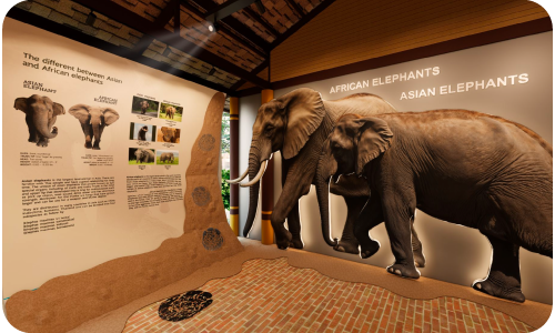 Museum Guided Tour