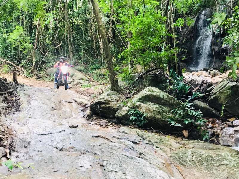 Jungle & Stream Crossing