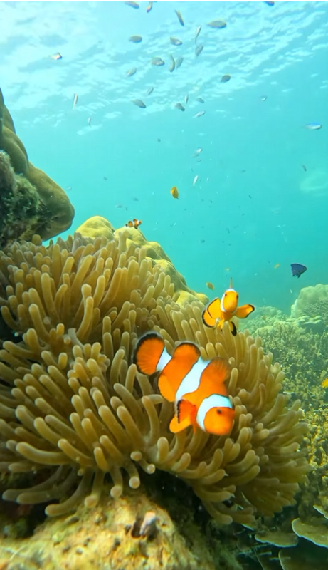 浮潜景点