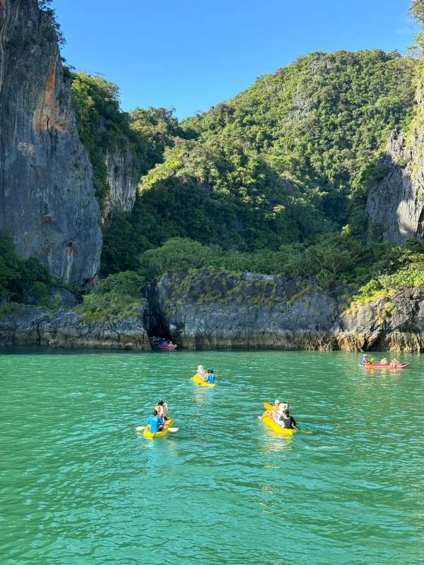 Self-Paddle & Swim