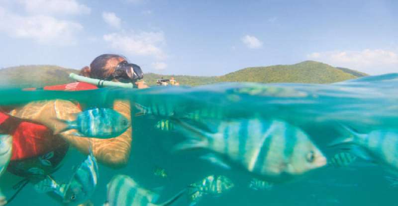 Snorkeling at Koh Tan