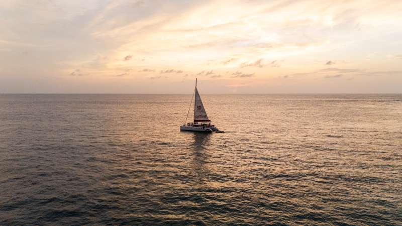 Afternoon Departure (Half Day)
