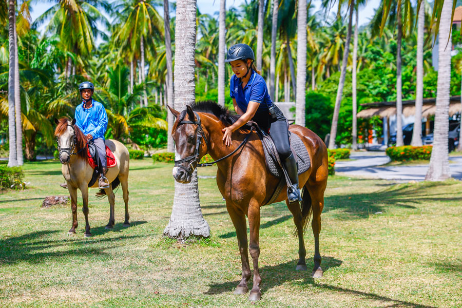 Horse Riding