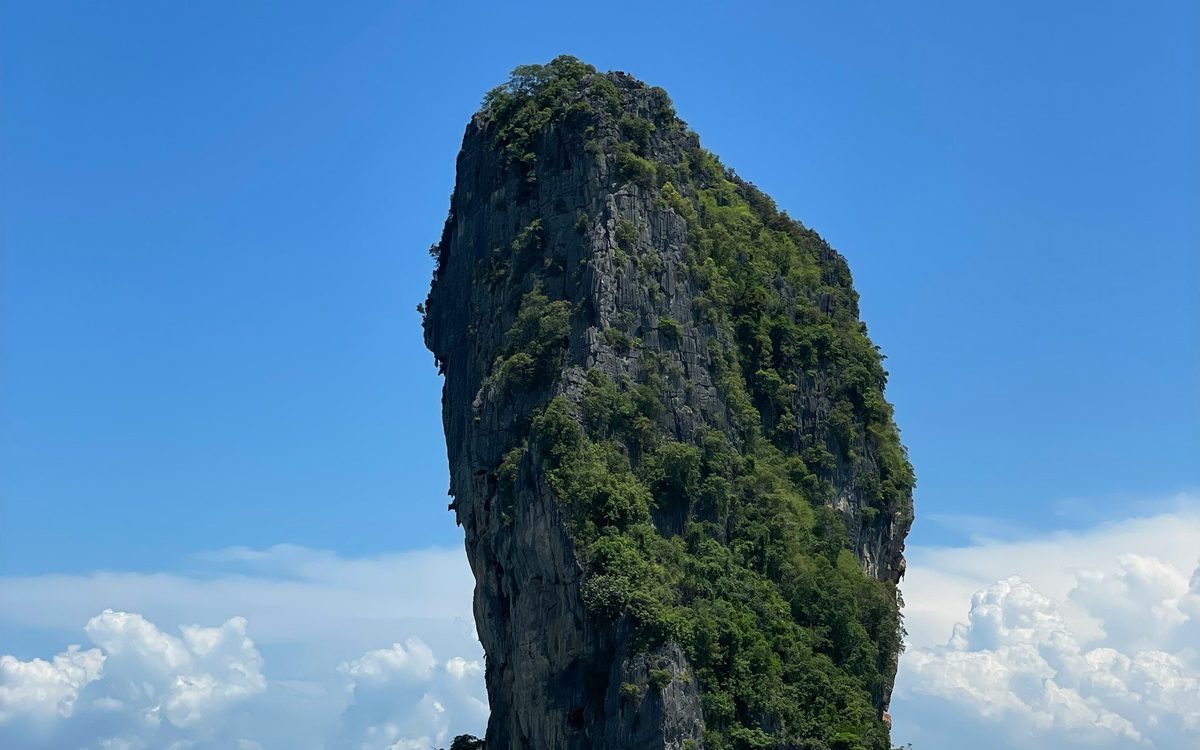 Poda