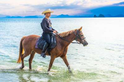 Balade à cheval sur la plage et dans la jungle