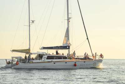 แล่นเรือใบ "White Marlin"