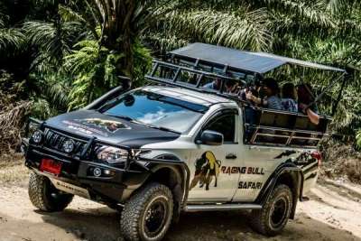 Raging Bull 4x4 Off-Road Island Safari & Culture Tour