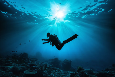 Custom Private Scuba Diving & Speedboat Charter